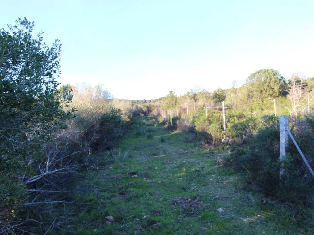 Terreno a Arzachena in Loc. Santa Teresina - Foto 5