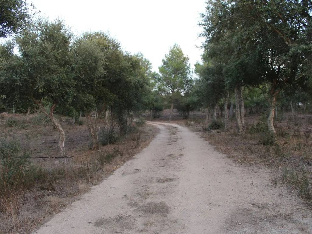 Terreno a Tempio pausania in Loc. San Giovanni Di Liscia S.N.C. - Foto 3