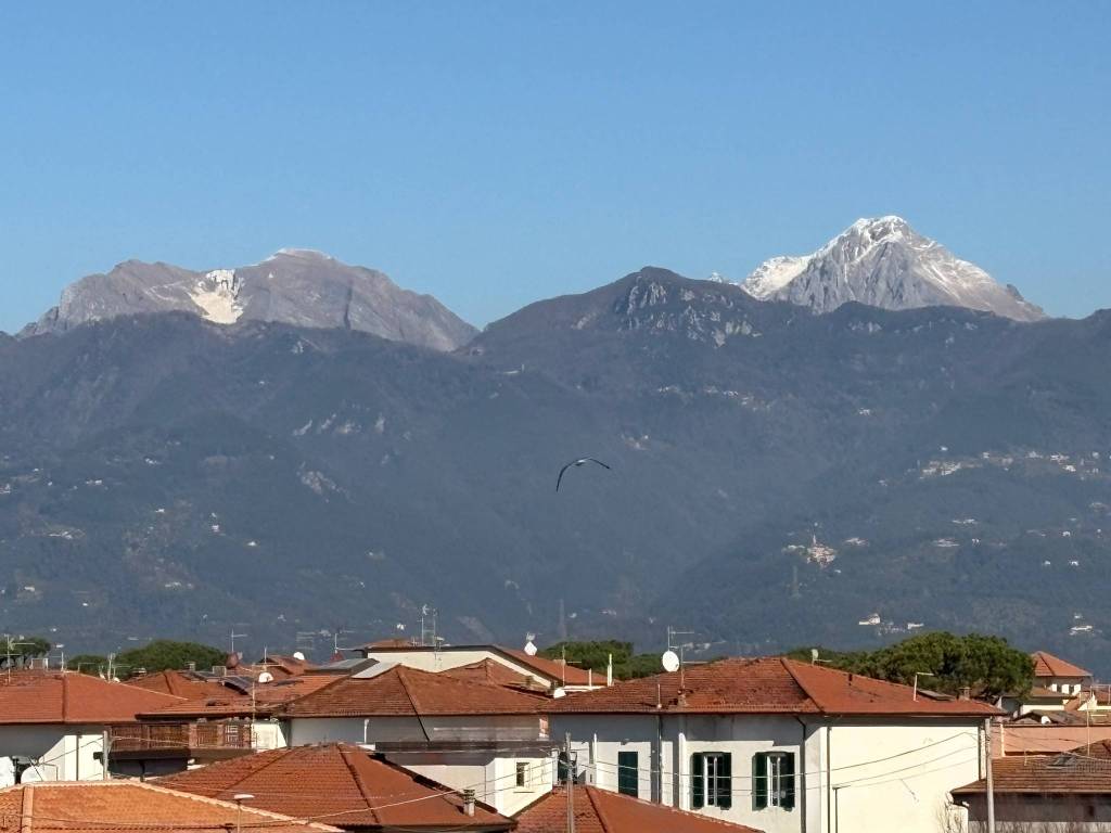 Appartamento a Viareggio in Viale Giosuè Carducci - Foto 2