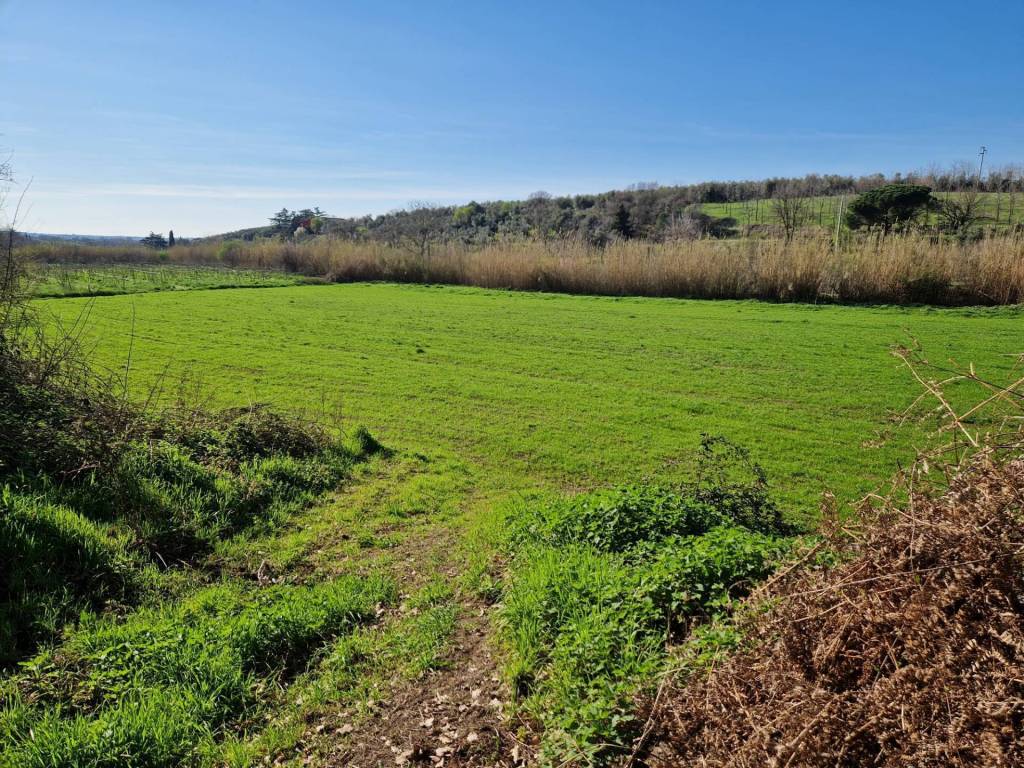 Terreno a Vetralla in località Ave Maria - Foto 2