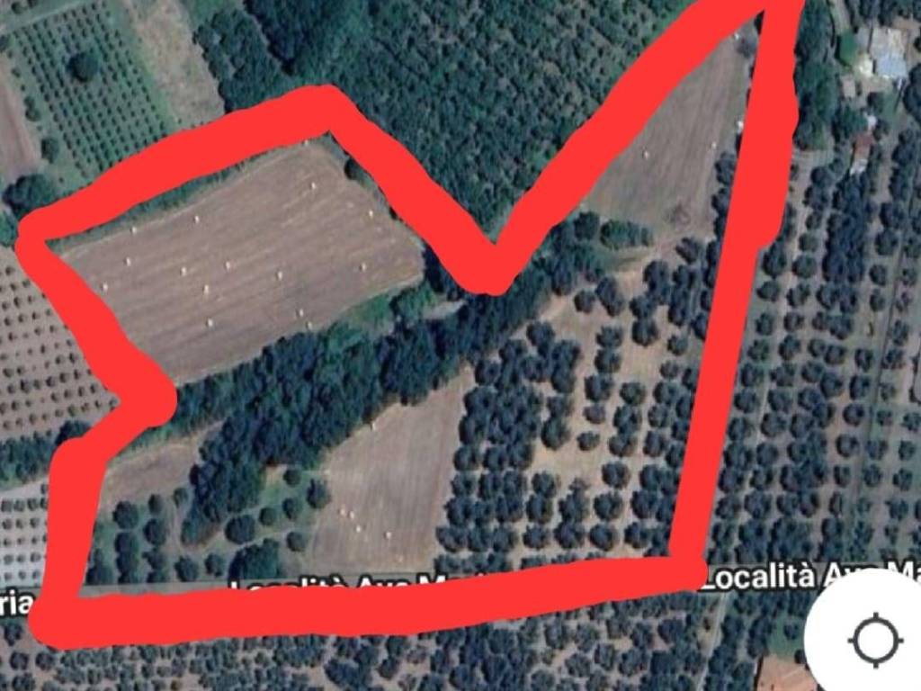Terreno a Vetralla in località Ave Maria - Foto 3