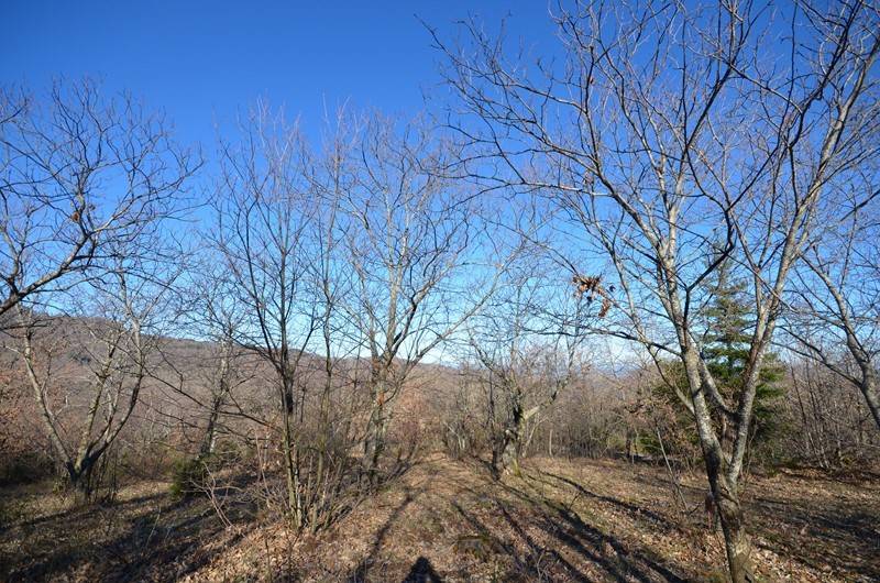 Terreno a Arcidosso in Località Piane - Foto 2