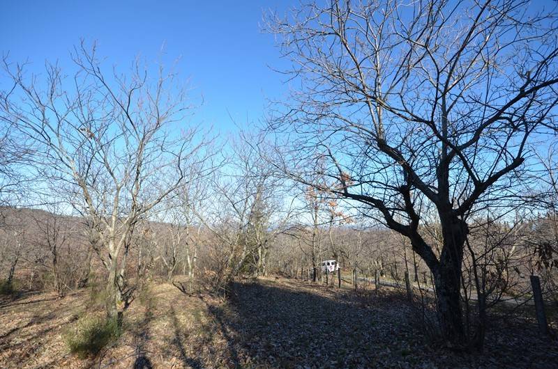 Terreno a Arcidosso in Località Piane - Foto 3