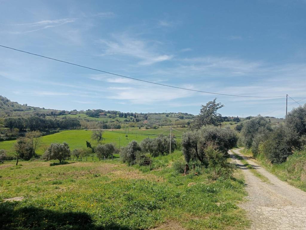 Terreno a Grosseto - Foto 3