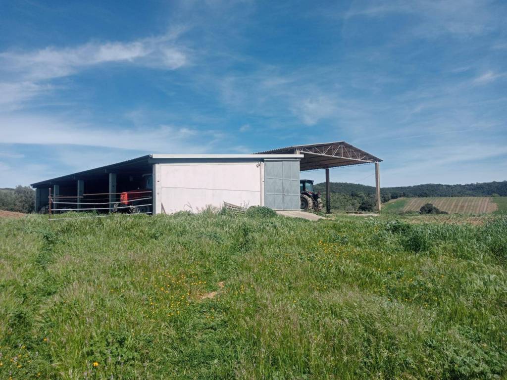 Terreno a Grosseto - Foto 4