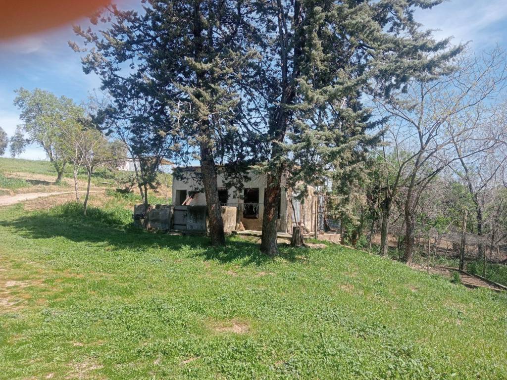 Terreno a Grosseto - Foto 5