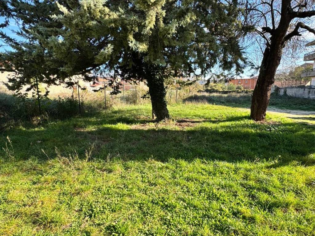Terreno a Avezzano in Via Lago di Scanno - Foto 2
