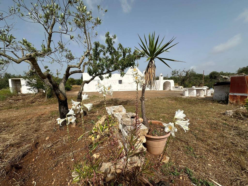 Rustico / casale a Ostuni in sp581 - Foto 2