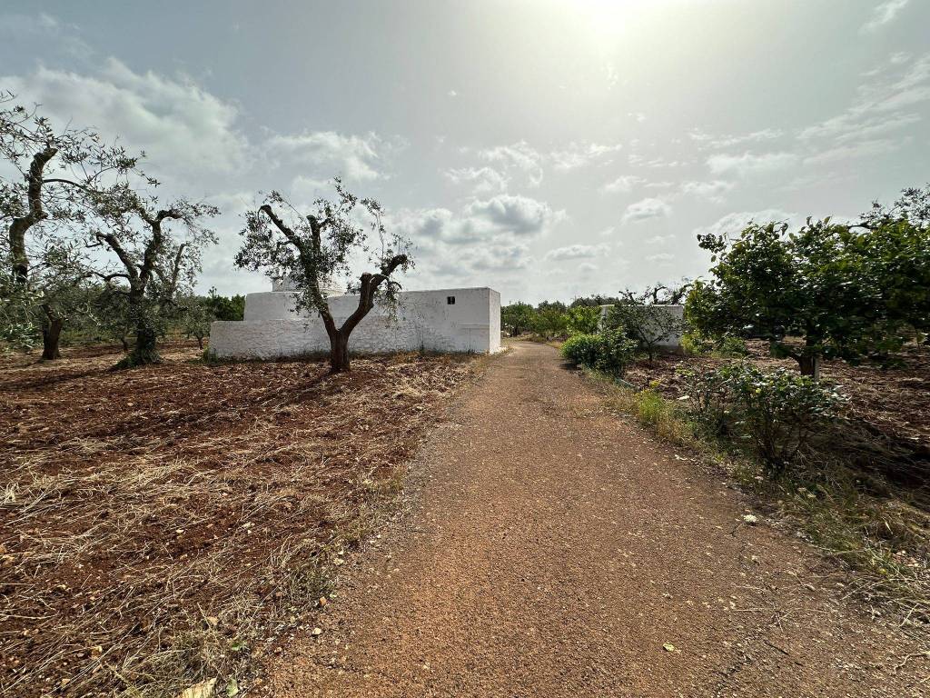 Rustico / casale a Ostuni in sp581 - Foto 3