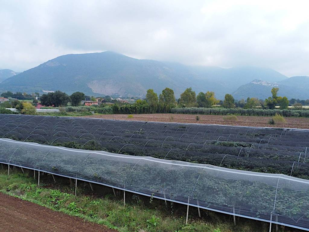 Terreno a Sermoneta in Via Le Pastine - Foto 2