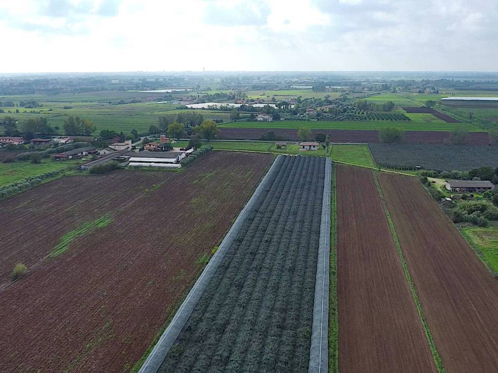 Terreno a Sermoneta in Via Le Pastine - Foto 5