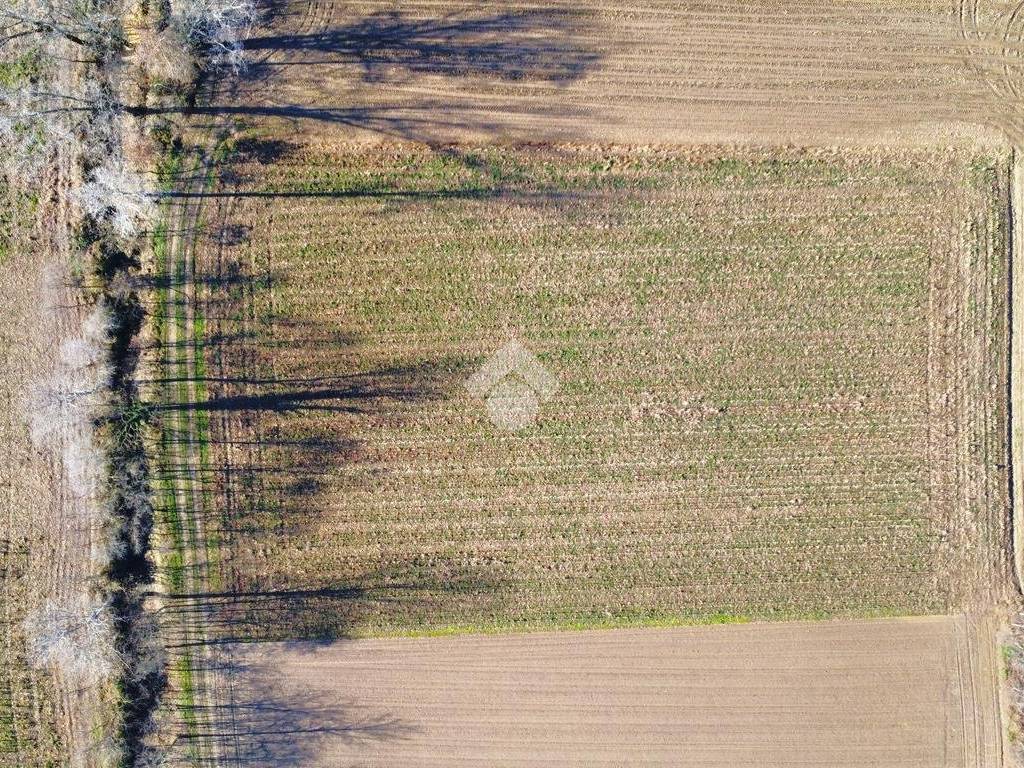 Terreno a Castelfranco veneto in Via Cavalli - Foto 5