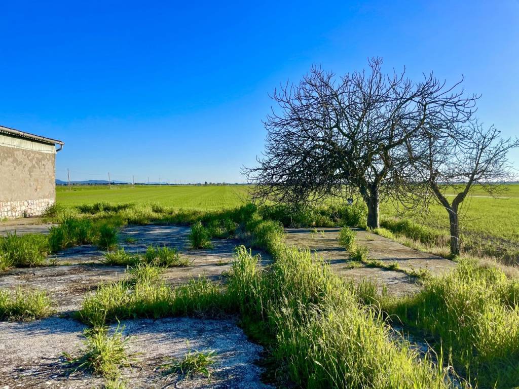 Immobile a Grosseto in Casotto Pescatori - Foto 4