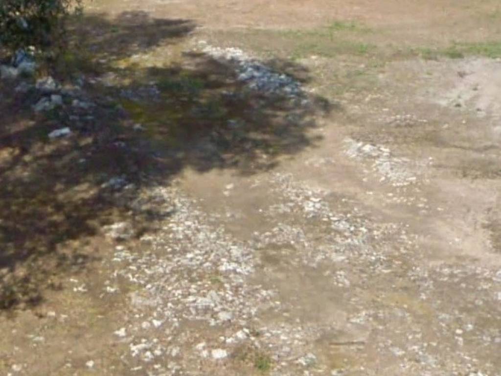 Terreno a Melendugno in SP245 - Foto 5
