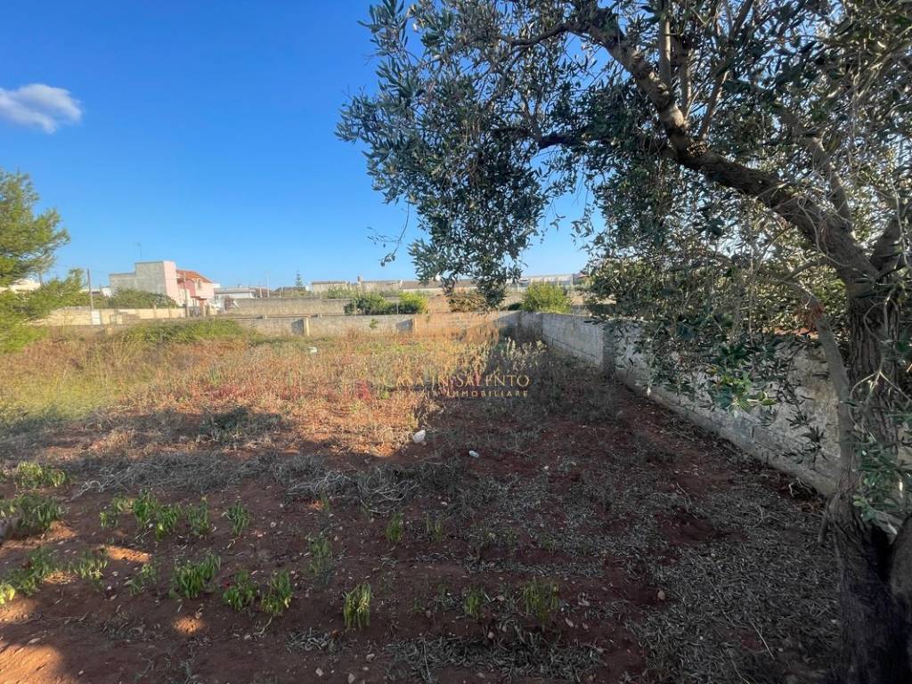 Terreno a Alessano in Via Macurano, 161 - Foto 3