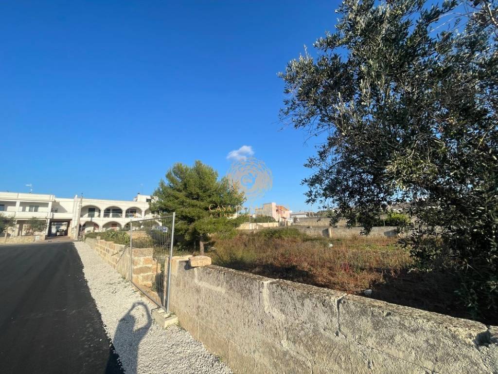 Terreno a Alessano in Via Macurano, 161 - Foto 4