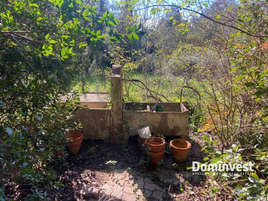 Rustico / casale a Capalbio in Strada del Trentatré - Foto 2