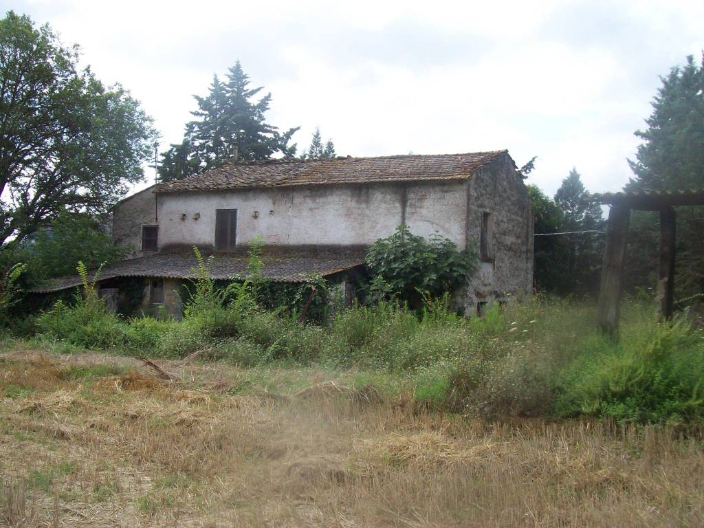 Rustico / casale a Orte in Via dei Calefati - Foto 2