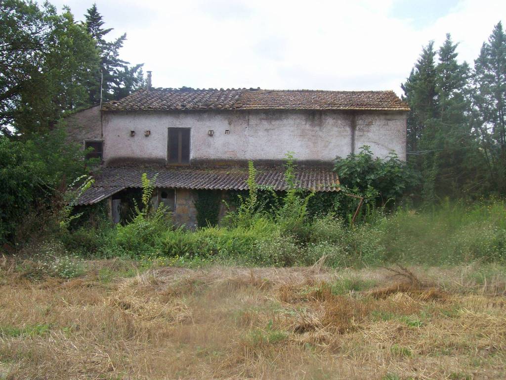 Rustico / casale a Orte in Via dei Calefati - Foto 3