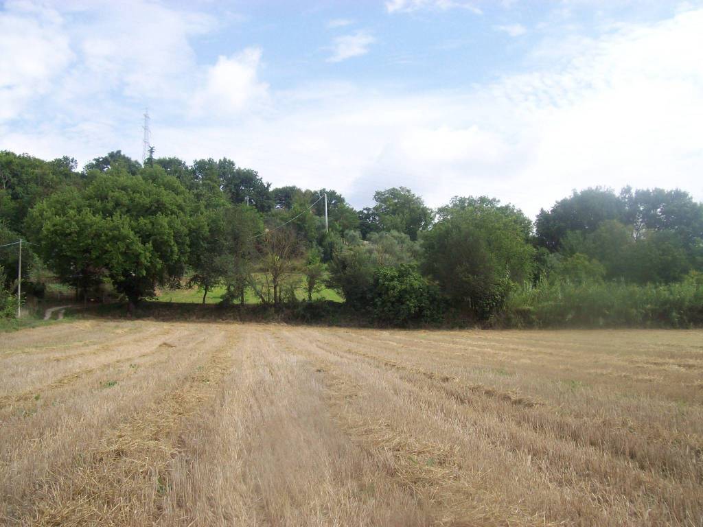 Rustico / casale a Orte in Via dei Calefati - Foto 4