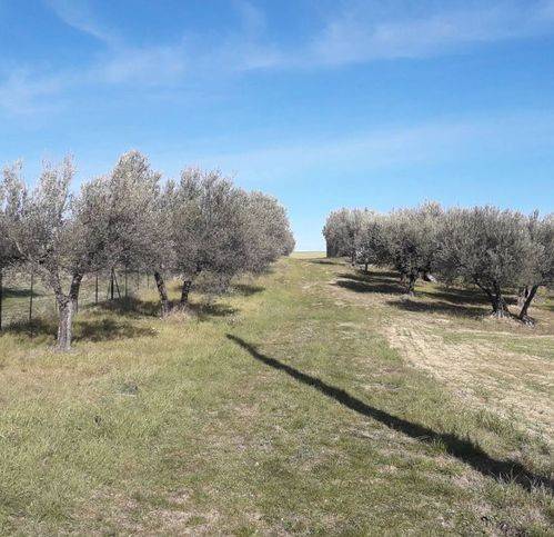 Terreno a Alanno in Via Sant'Antonio - Foto 3