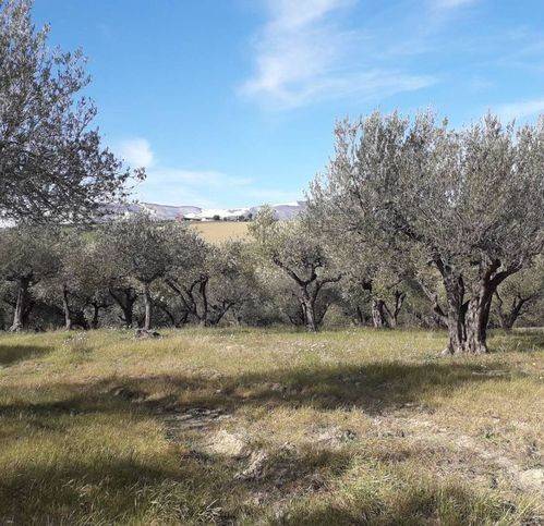 Terreno a Alanno in Via Sant'Antonio - Foto 5