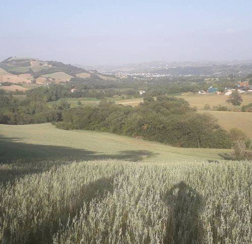 Terreno a Alanno in Via Colle Rotondo - Foto 5