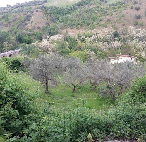 Terreno a Manoppello - Foto 3