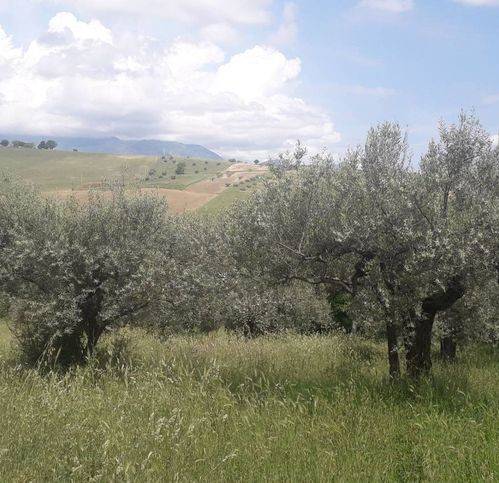 Terreno a Alanno in Via Prati - Foto 2