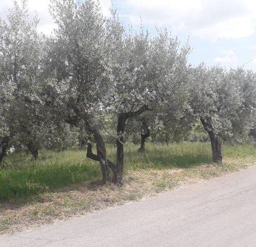 Terreno a Alanno in Via Prati - Foto 3