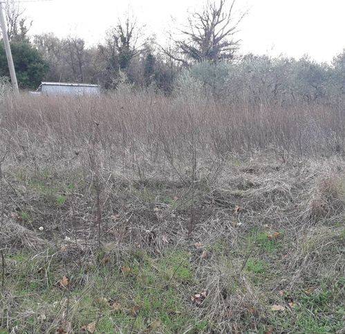 Terreno a Lettomanoppello in Via Provinciale Manoppello - Foto 5