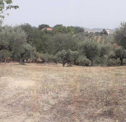 Terreno a Cepagatti in Via Stella - Foto 2