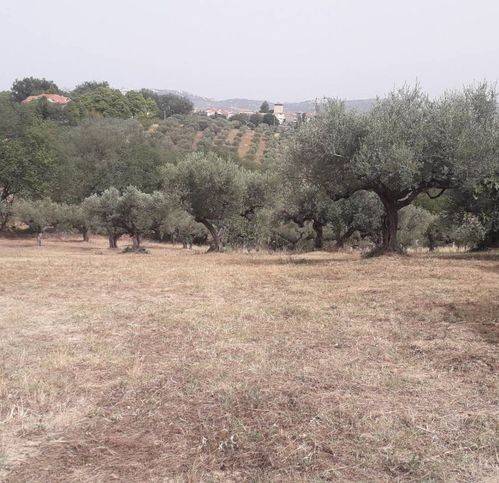 Terreno a Cepagatti in Via Stella - Foto 3