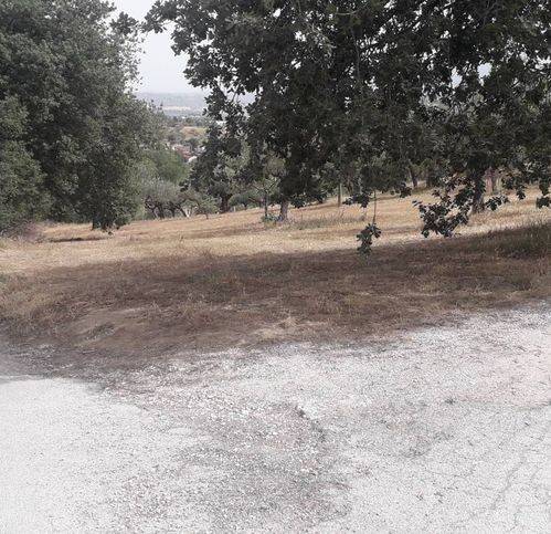 Terreno a Cepagatti in Via Stella - Foto 5