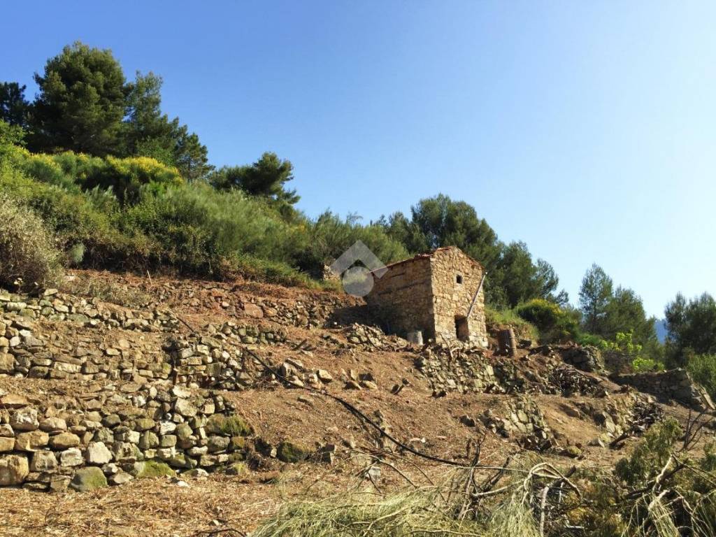Rustico / casale a Vallebona in Strada massatorta - Foto 2