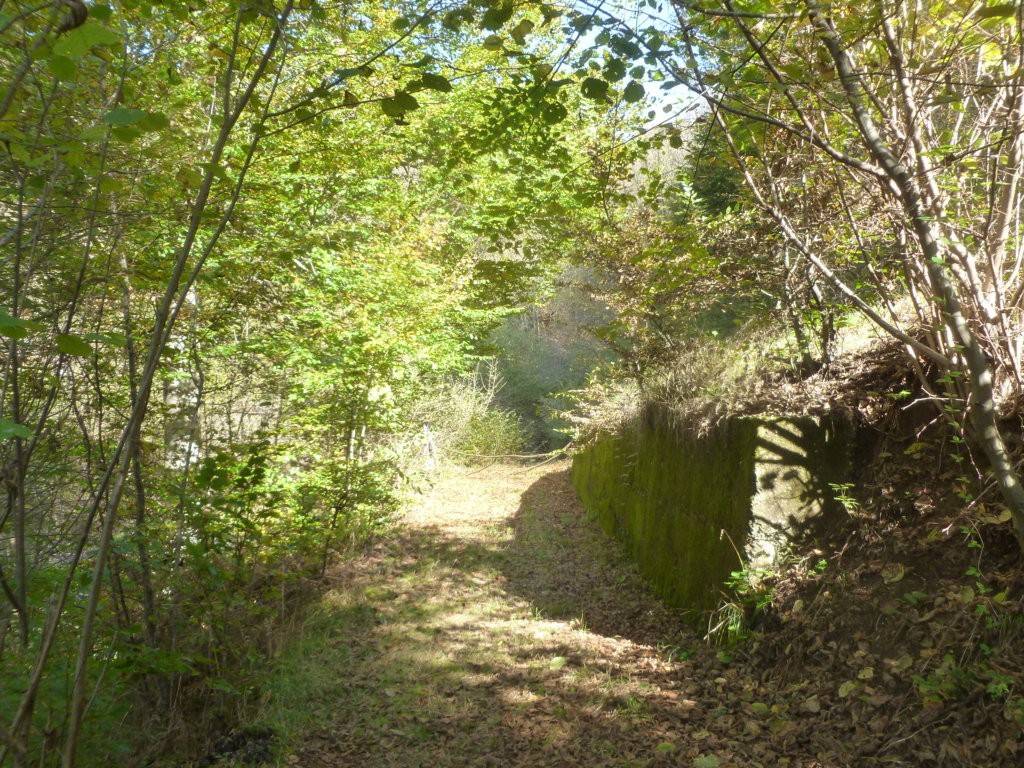 Villa a Andorno micca in Via Giovanni Capisano, 59 - Foto 5
