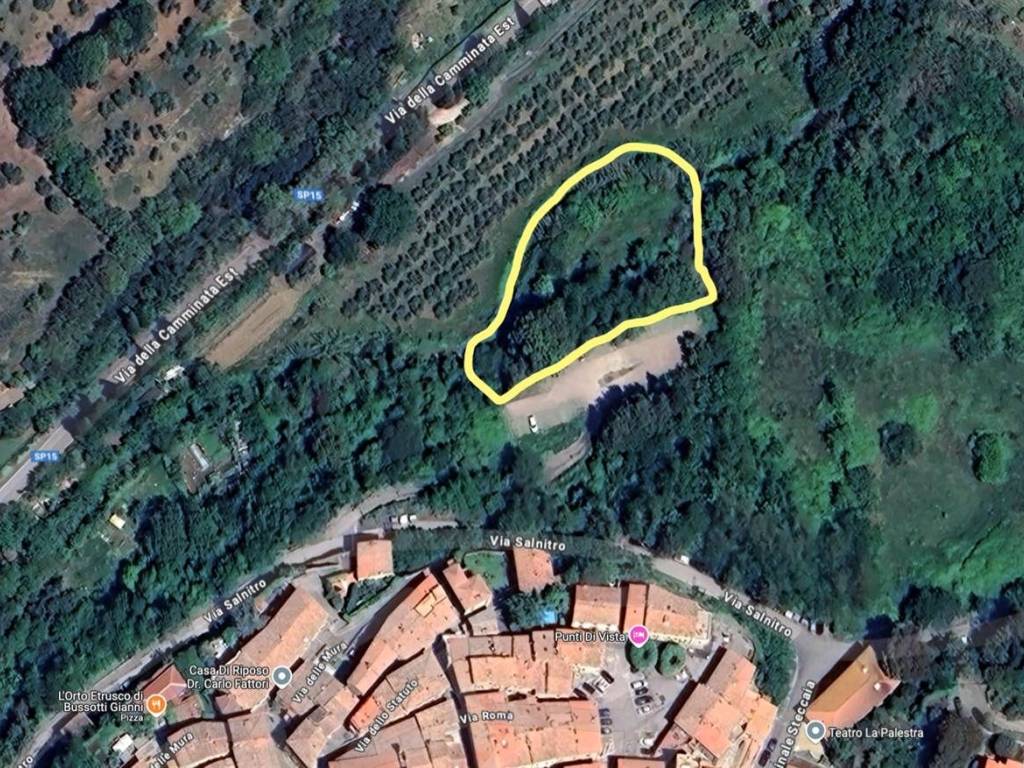 Terreno a Bibbona in Via della Camminata - Foto 5