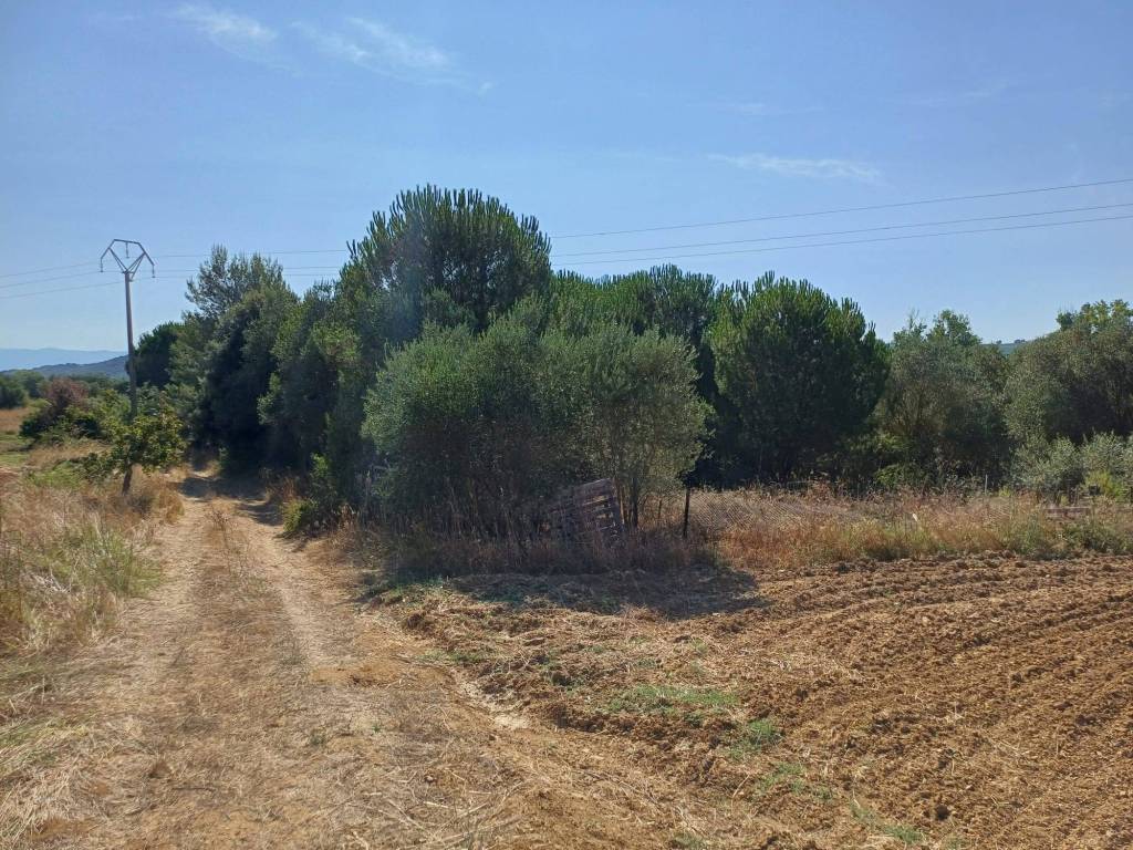 Terreno a Grosseto in strada provinciale 159, 413 - Foto 4
