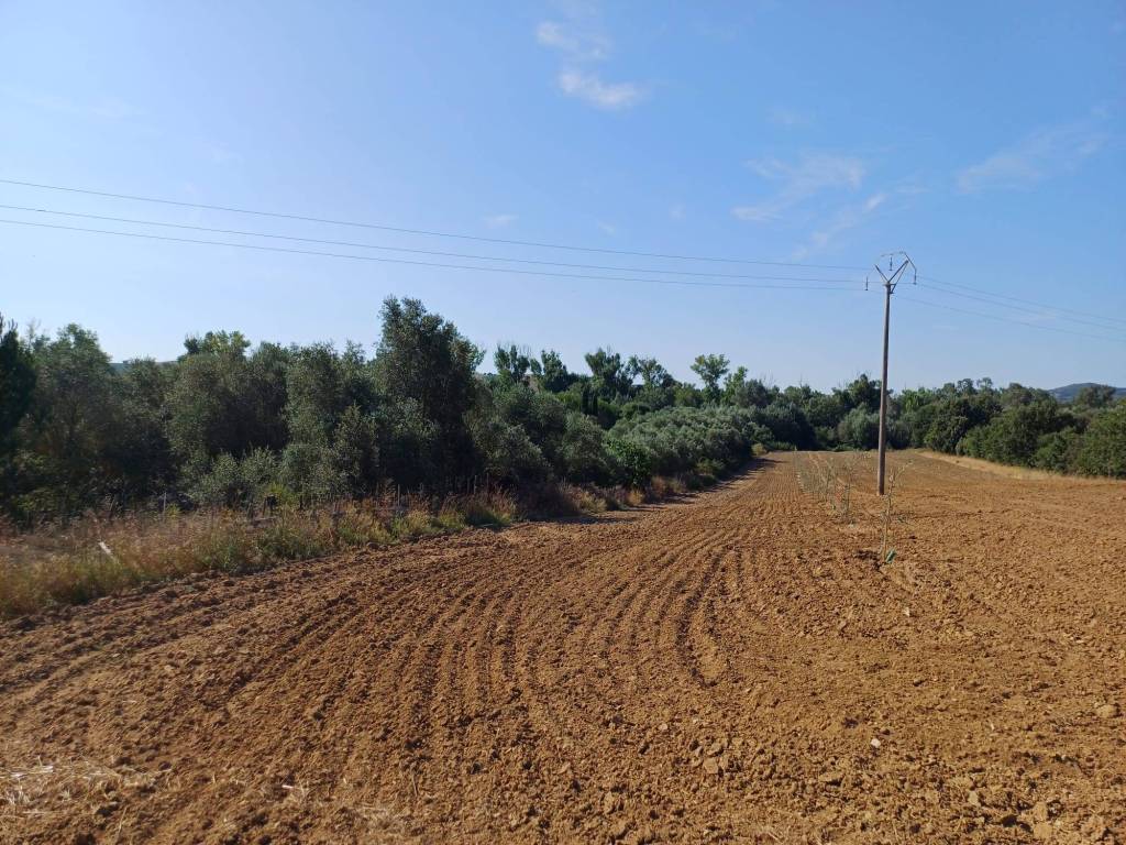 Terreno a Grosseto in strada provinciale 159, 413 - Foto 5