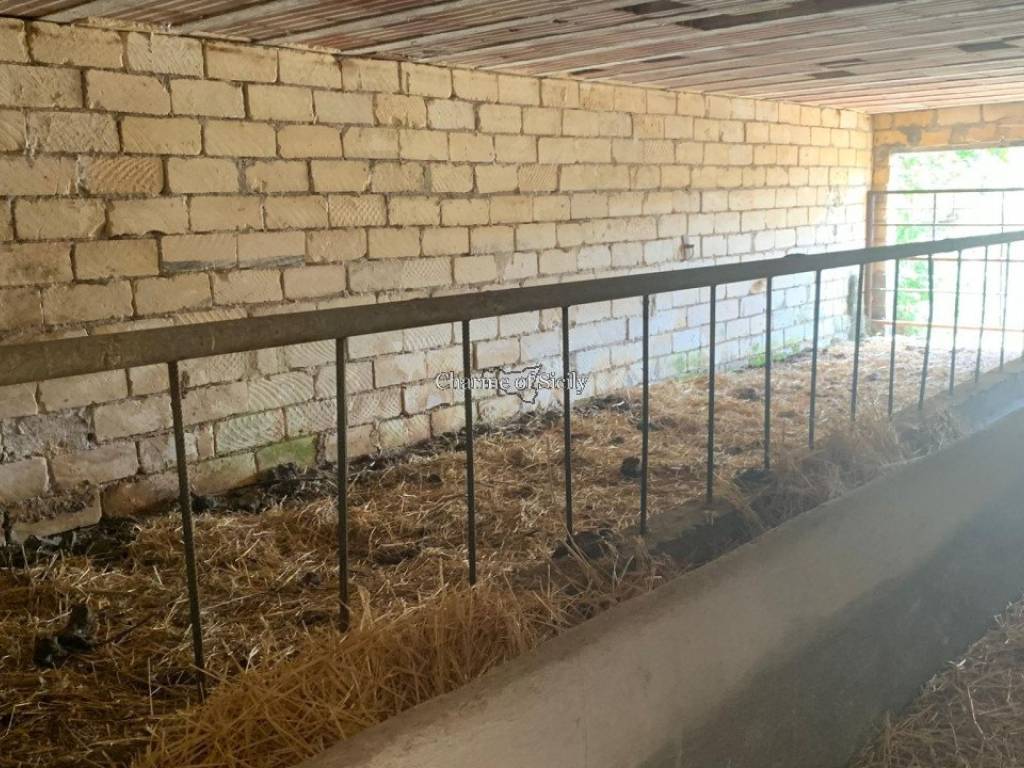 Rustico / casale a Ragusa in Contrada Bellocozzo - Foto 3