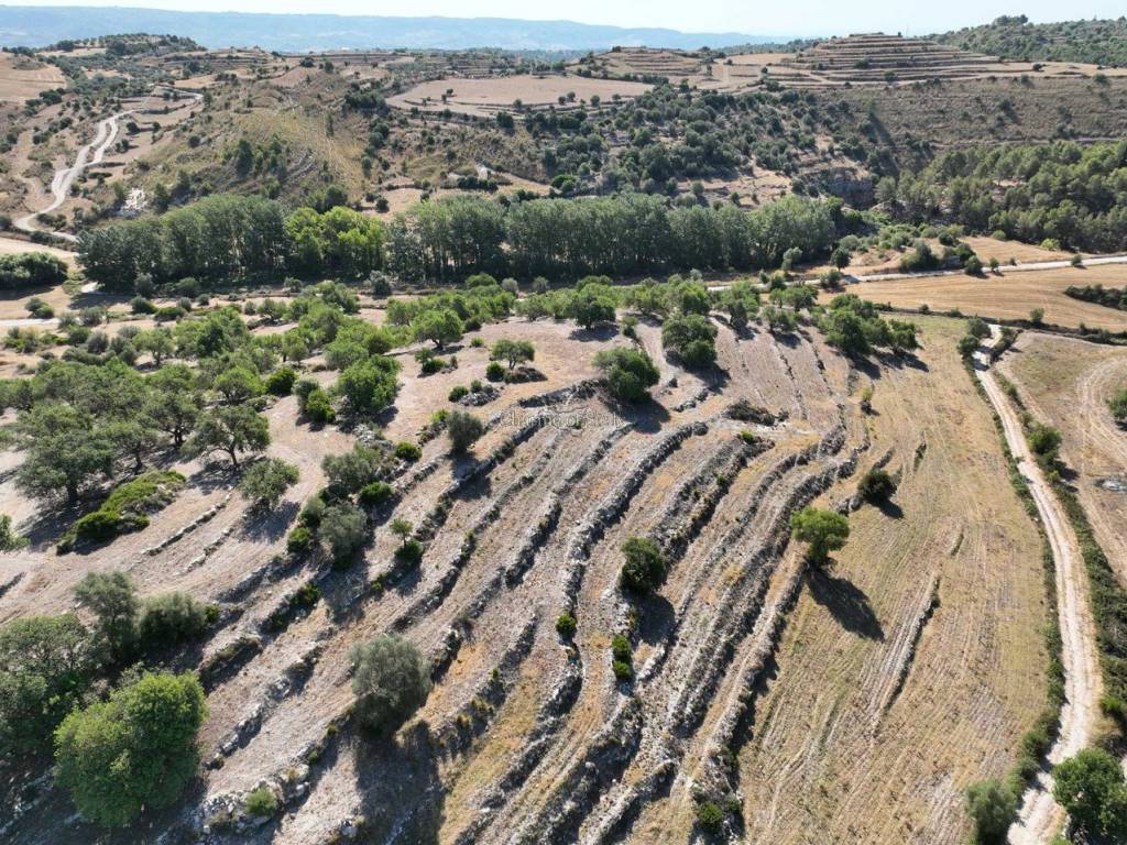 Rustico / casale a Ragusa in Contrada Bellocozzo - Foto 5