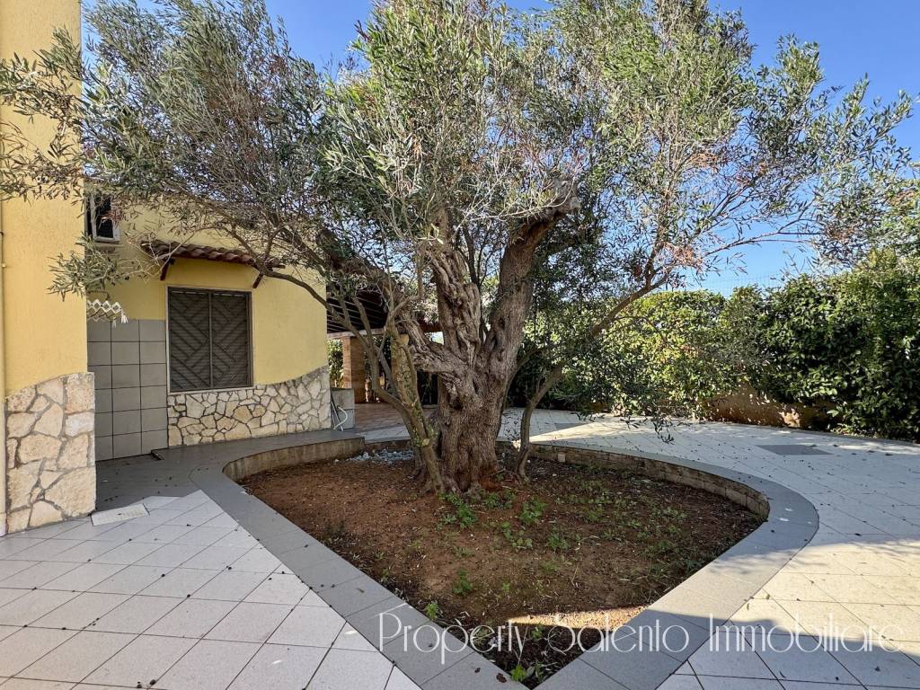 Villa a Racale in Strada Vicinale Pacci o Olive Amare - Foto 5