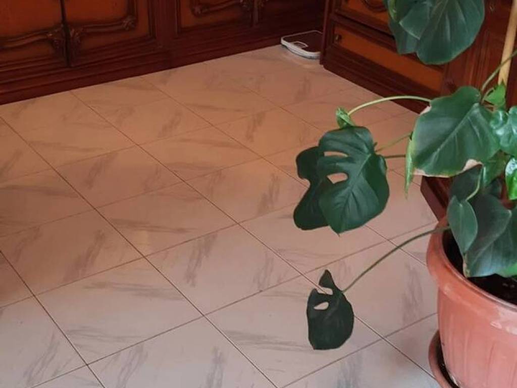 Villa a Monsummano terme in Grotta Parlanti - Foto 2
