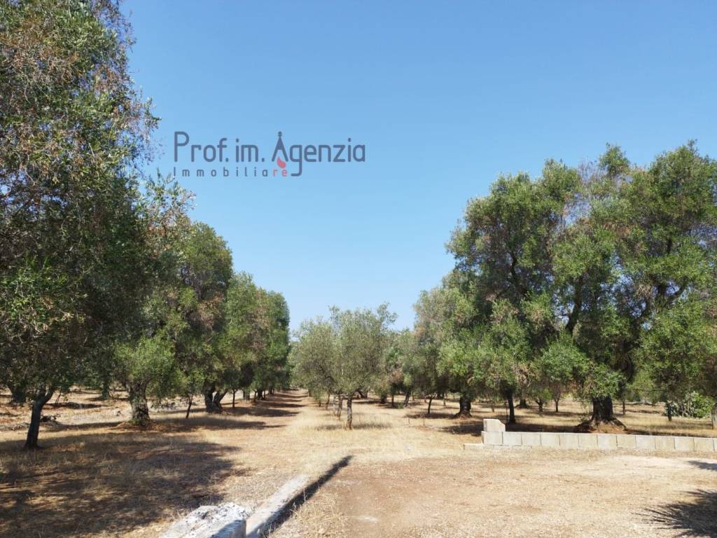 Terreno a Carovigno - Foto 2