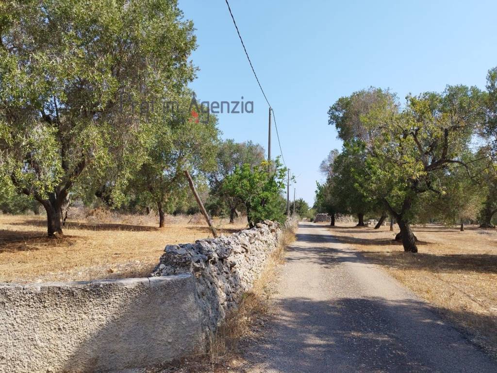 Terreno a Carovigno - Foto 3