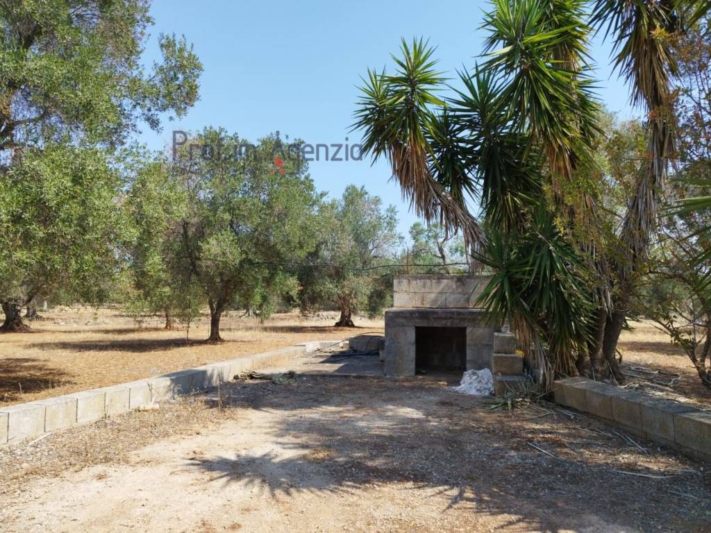 Terreno a Carovigno - Foto 4