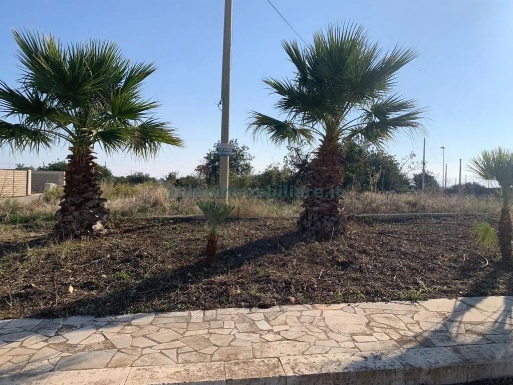 Terreno a Ispica in C/Da Crocefia S.N.C. - Foto 3
