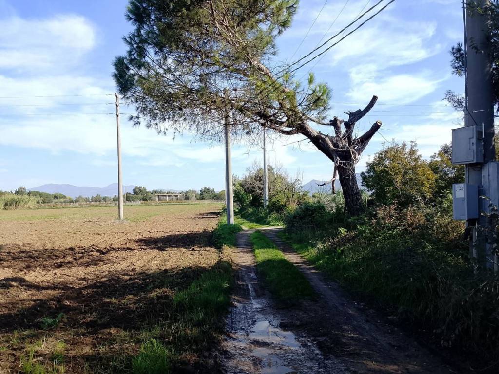 Terreno a Cellole in via Domiziana , Snc - Foto 2