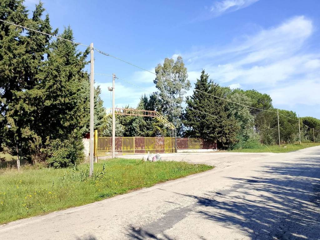 Terreno a Cellole in via Domiziana , Snc - Foto 4