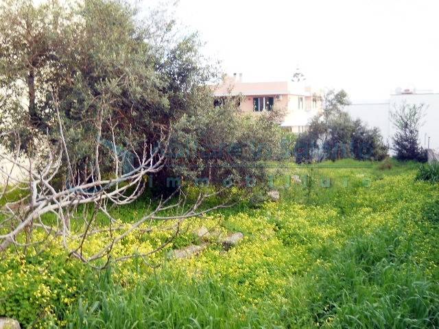 Terreno a Castrignano del capo in Via Padova - Foto 4
